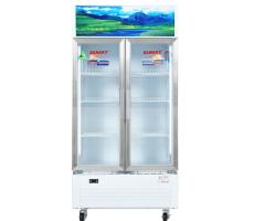 Tủ Mát Sanaky 500 lít VH-6009HP