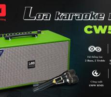 Loa karaoke xách tay JA CW500