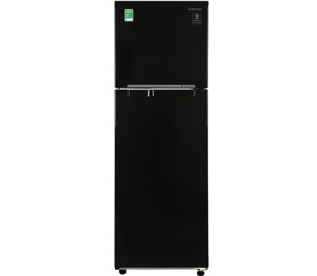 Tủ lạnh Samsung Inverter 256 lít RT25M4032BU/SV